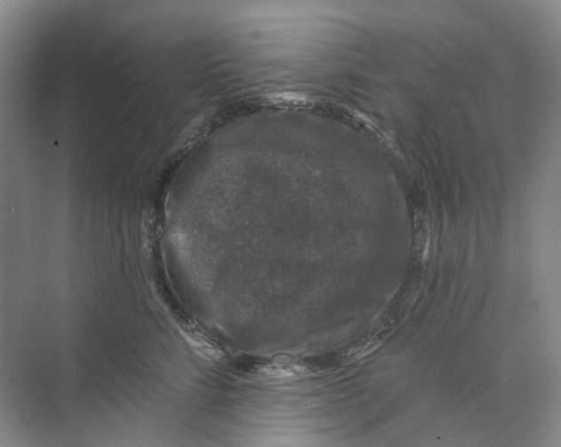 X0000074040712200609181952