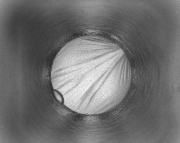 X0000074040714200609181952