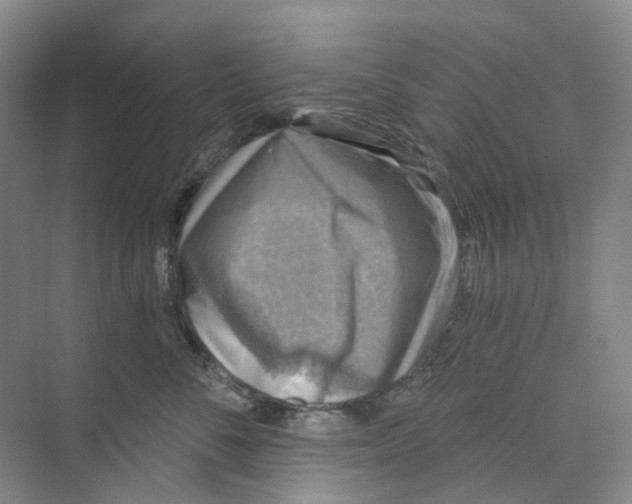 X0000074040716200609181952