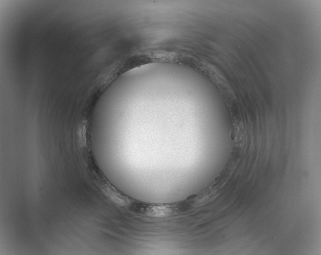 X0000074040717200609181952