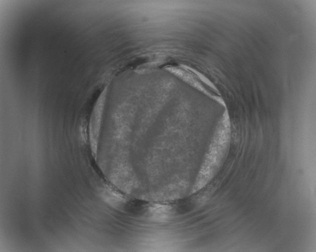 X0000074040718200609181952