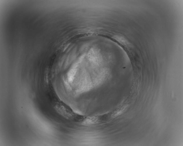 X0000074040720200609181952