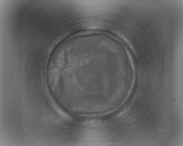 X0000074040721200609181951