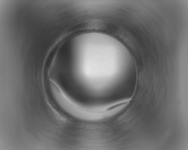 X0000074040722200609181951