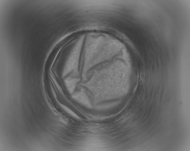 X0000074040724200609181952