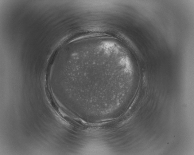 X0000074040725200609181952