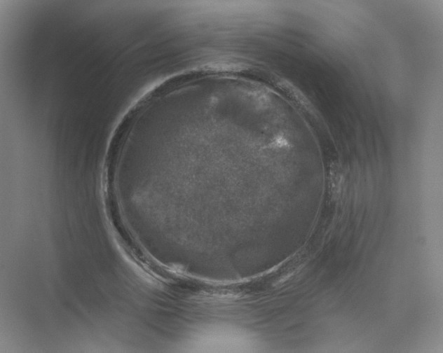 X0000074040726200609181952