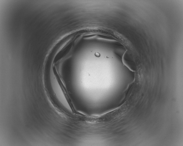 X0000074040728200609181952