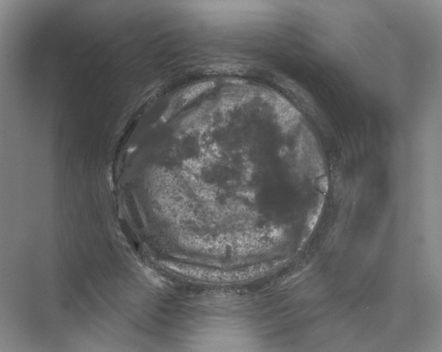 X0000074040729200609181952