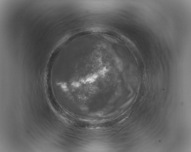 X0000074040730200609181952