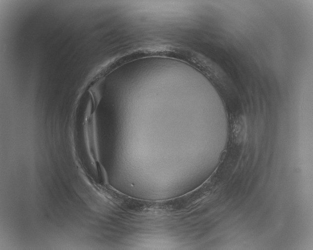 X0000074040732200609181952