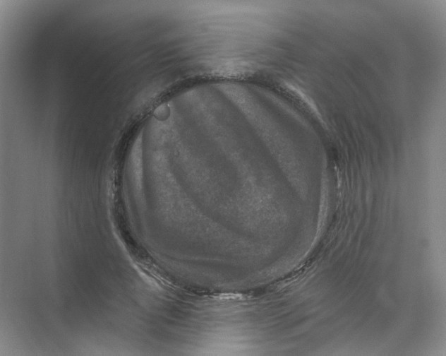 X0000074040736200609181952