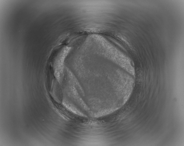 X0000074040738200609181952