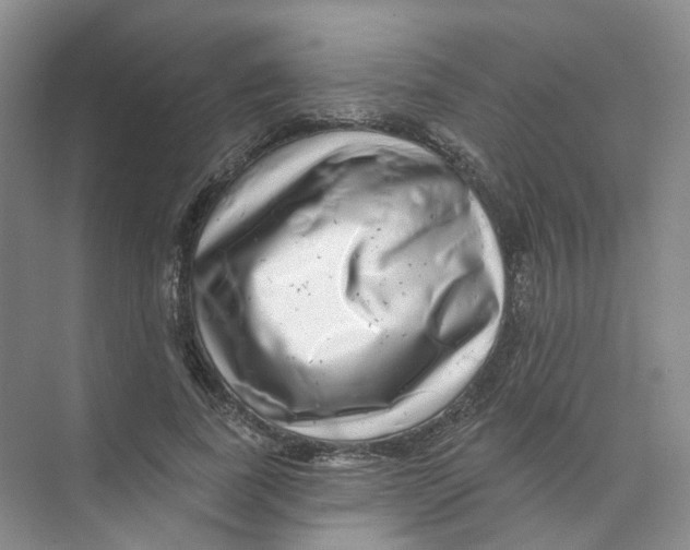 X0000074040739200609181952