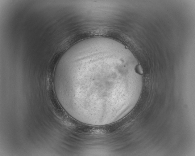 X0000074040741200609181952