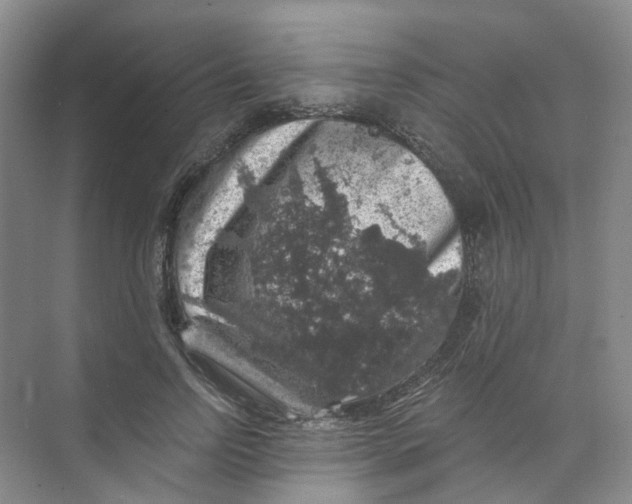 X0000074040742200609181952