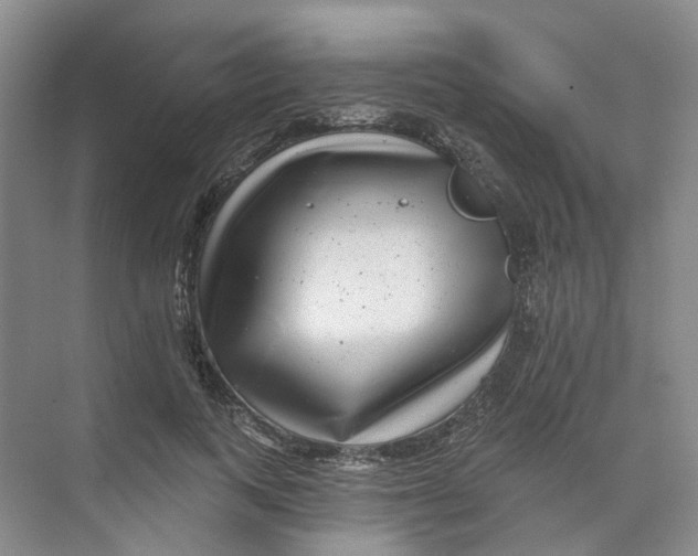 X0000074040743200609181952