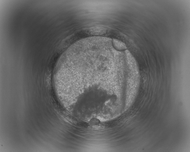 X0000074040745200609181952