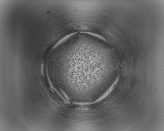 X0000074040747200609181952