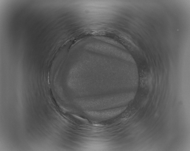 X0000074040748200609181952