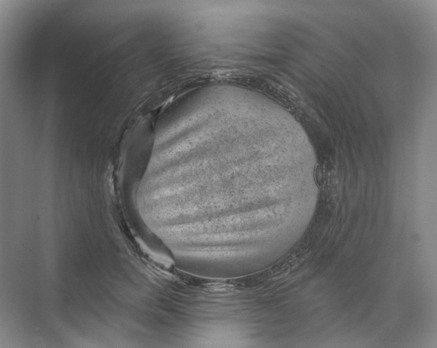 X0000074040750200609181952