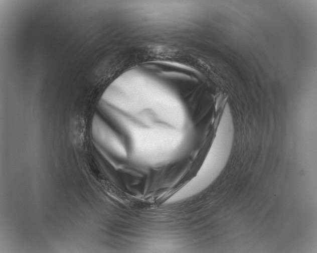 X0000074040752200609181952