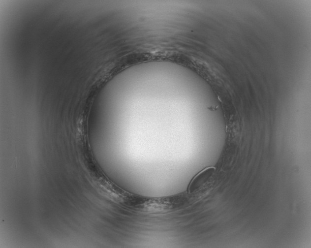 X0000074040756200609181952