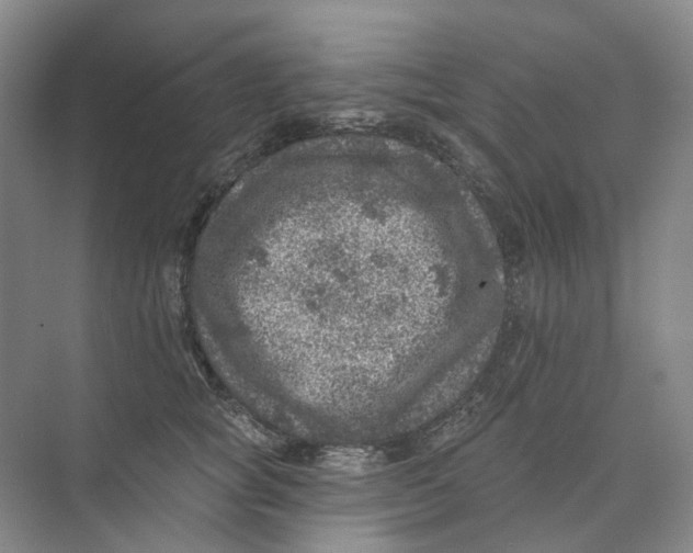 X0000074040757200609181952