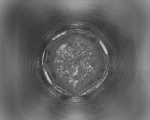 X0000074040758200609181952