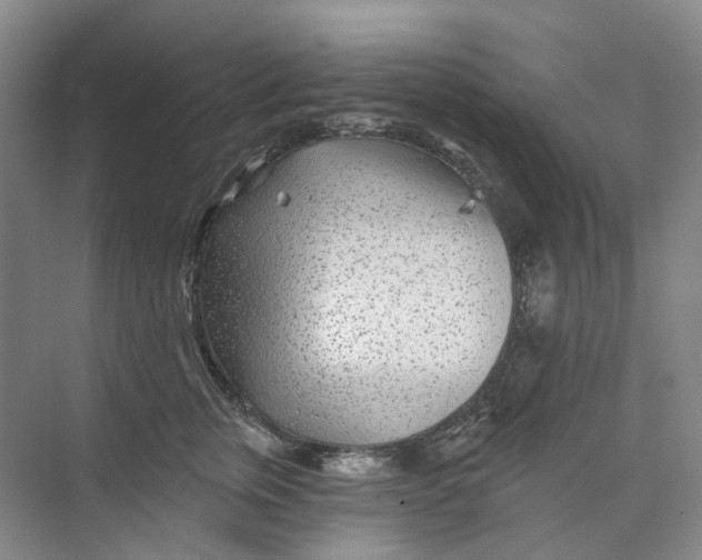 X0000074040759200609181952