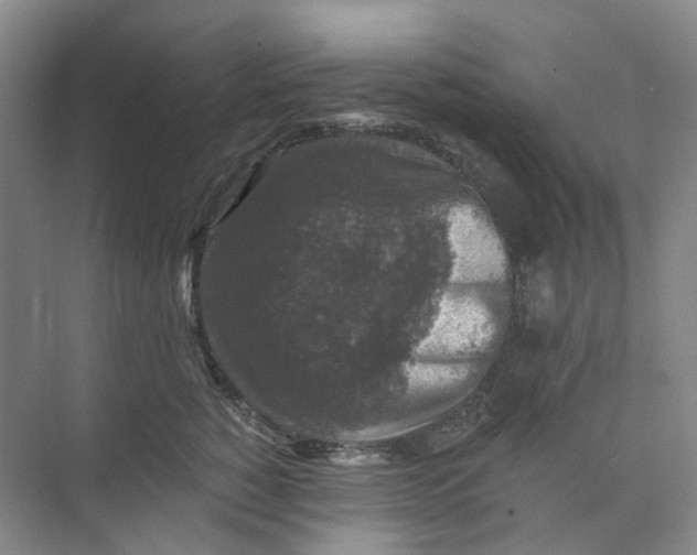 X0000074040760200609181952