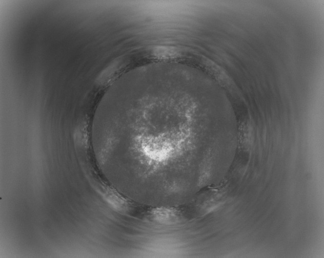 X0000074040762200609181952