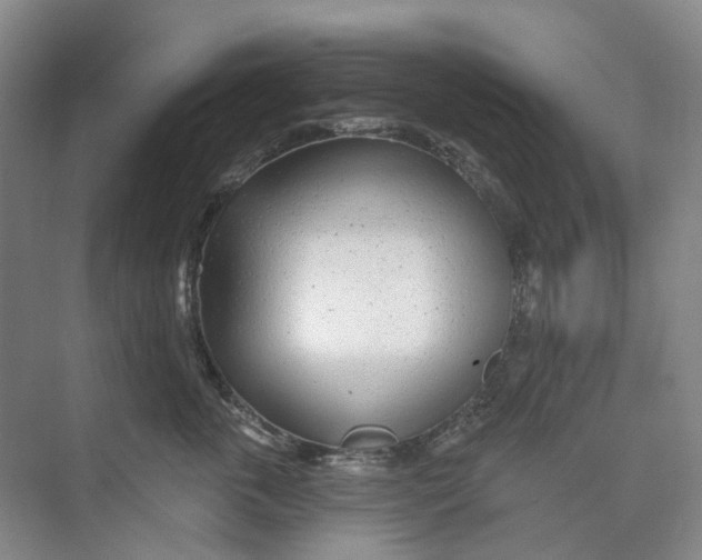 X0000074040763200609181952