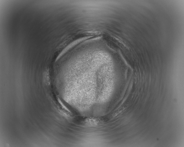 X0000074040764200609181952