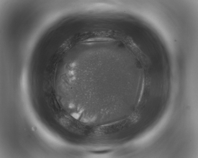 X0000074040765200609181952