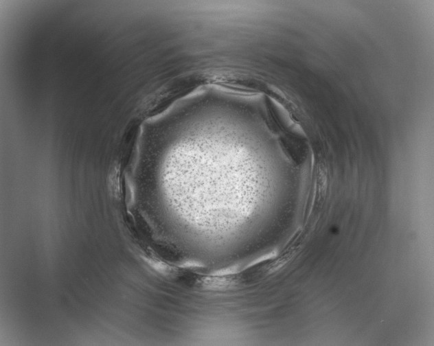 X0000074040766200609181952