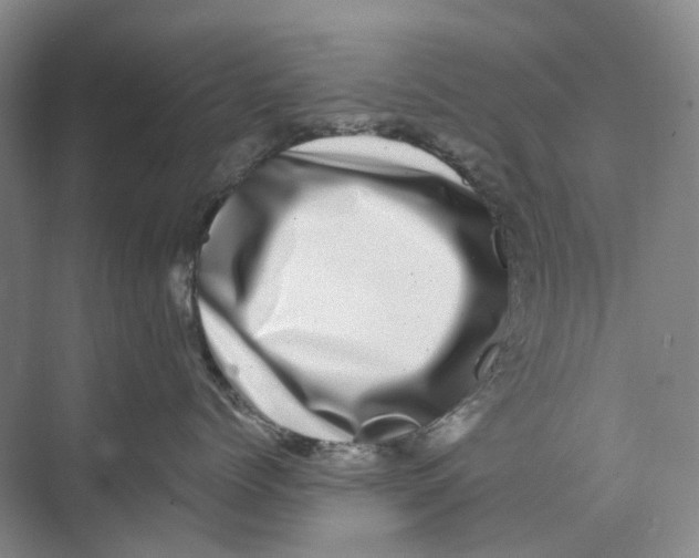 X0000074040768200609181952