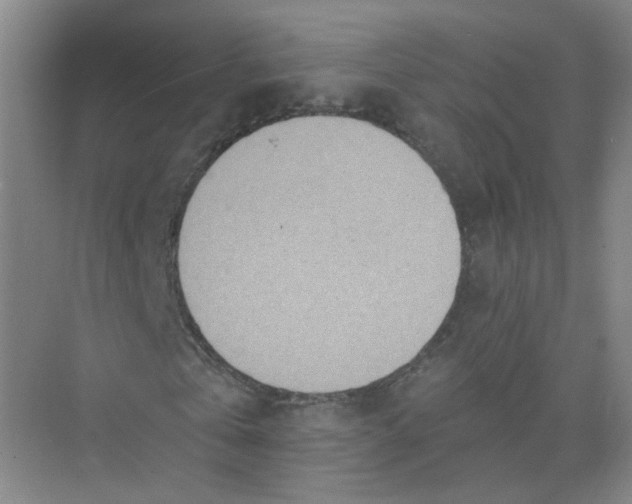 X0000074040769200609181951