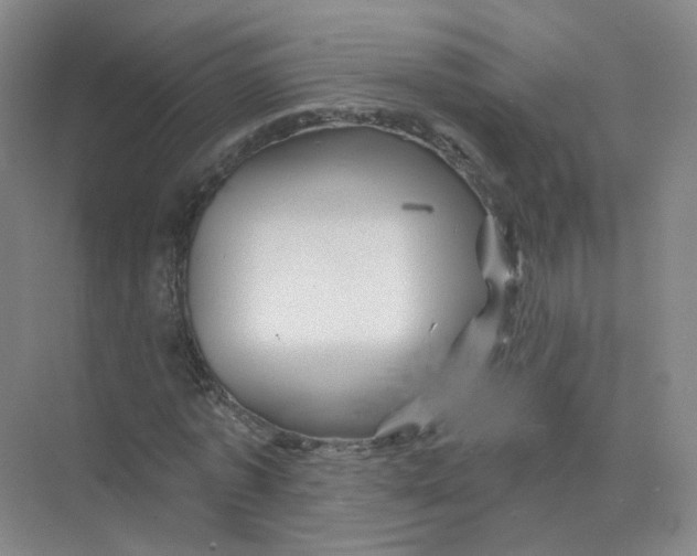 X0000074040773200609181951