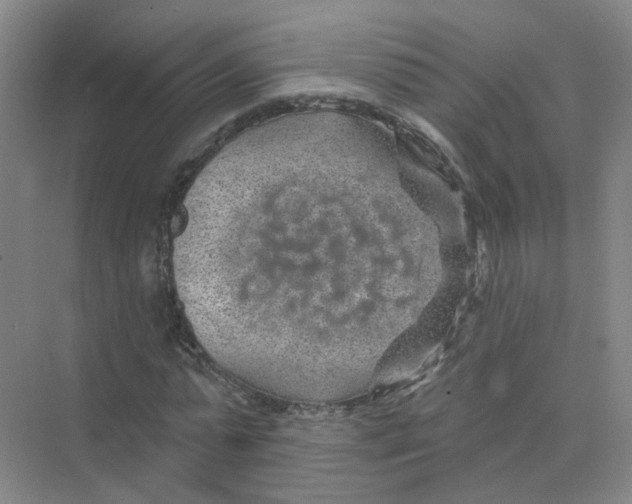 X0000074040775200609181951