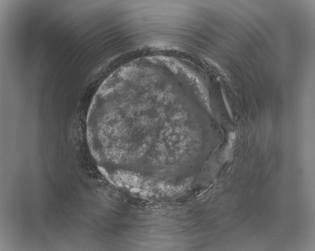 X0000074040776200609181951