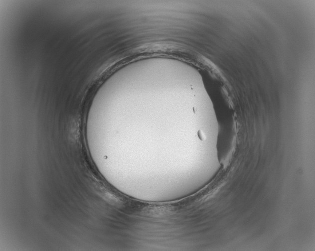 X0000074040778200609181951