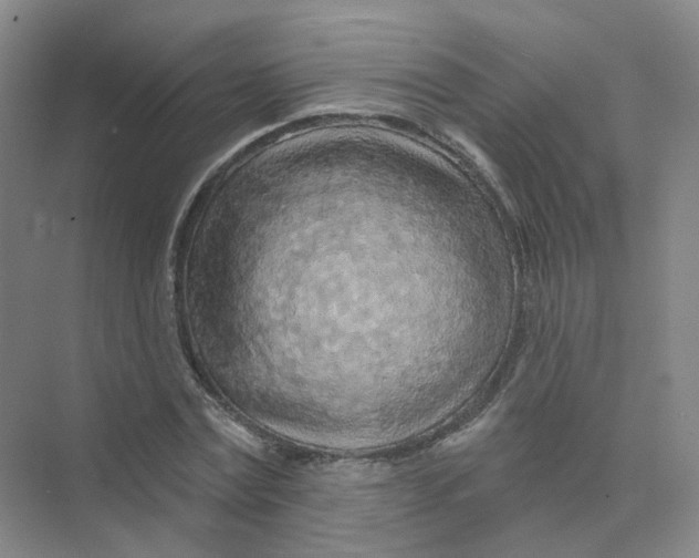 X0000074040779200609181951