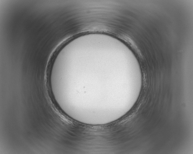 X0000074040780200609181951