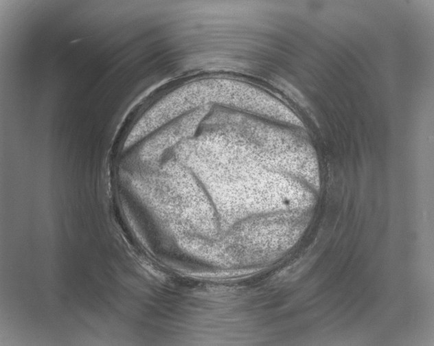 X0000074040782200609181951