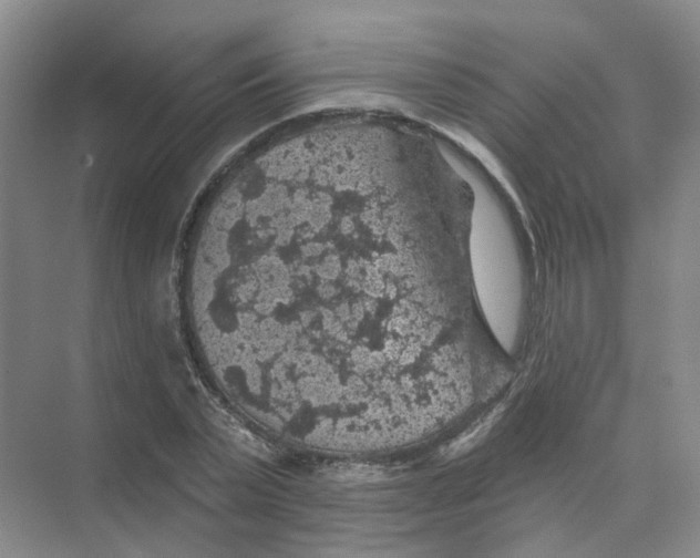 X0000074040783200609181951