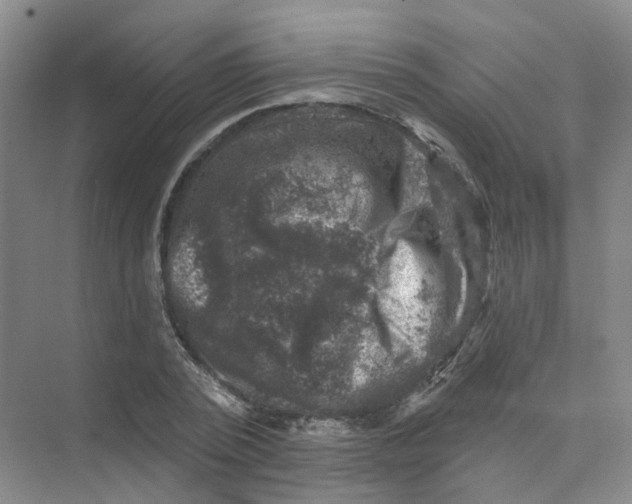 X0000074040784200609181951