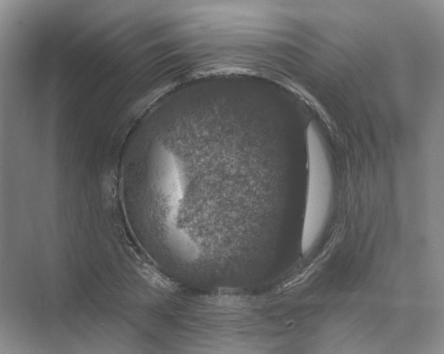 X0000074040785200609181951