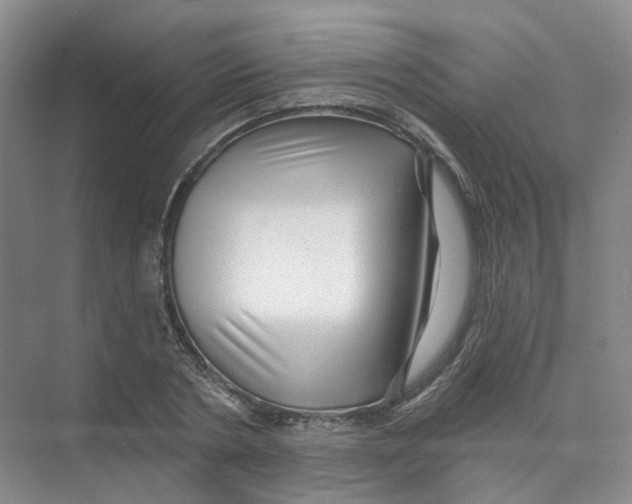 X0000074040786200609181951