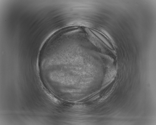 X0000074040788200609181951